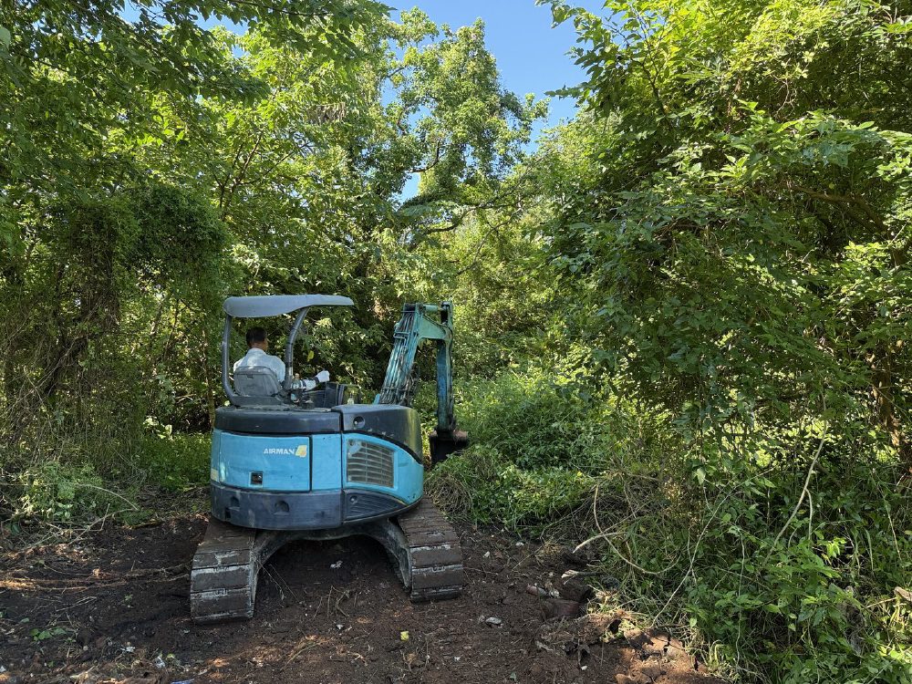 一台淺藍色小型挖土機停在林間剛清出的空地上作業,操作手坐在駕駛座,周圍散落剛清下的枝條。
